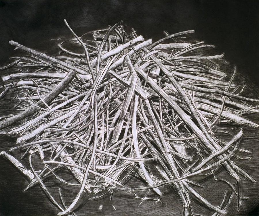 Sachi Yamabi Stick Pile